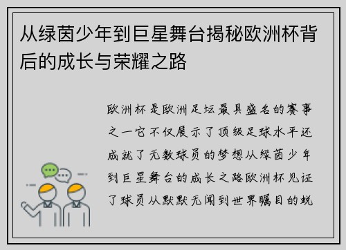 从绿茵少年到巨星舞台揭秘欧洲杯背后的成长与荣耀之路
