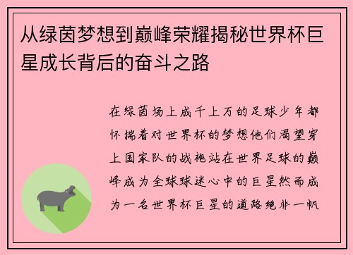 从绿茵梦想到巅峰荣耀揭秘世界杯巨星成长背后的奋斗之路